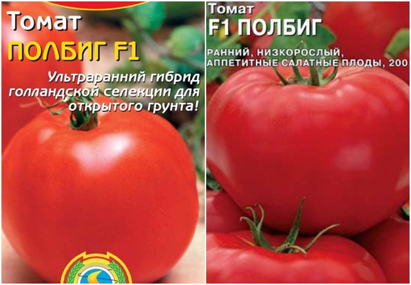 biji tomato Tomato Polbig F1