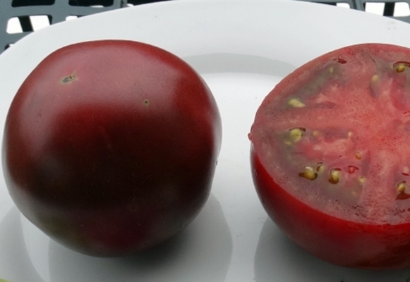 terrón de tomate y chocolate