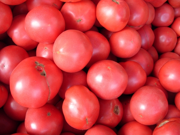 Tomate Irina en un montón