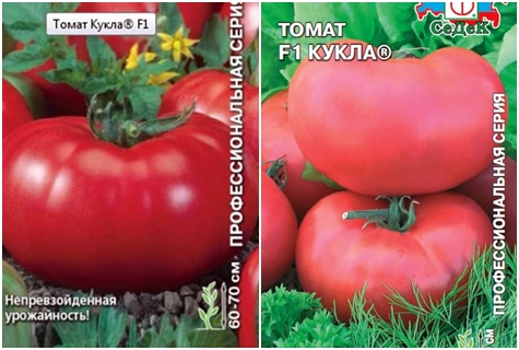 semillas de tomate Doll F1