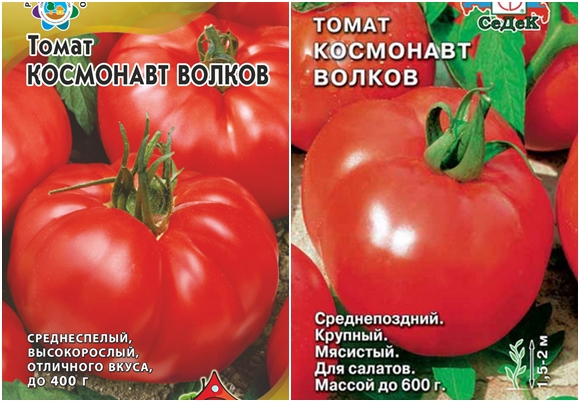 biji tomato Cosmonaut Volkov