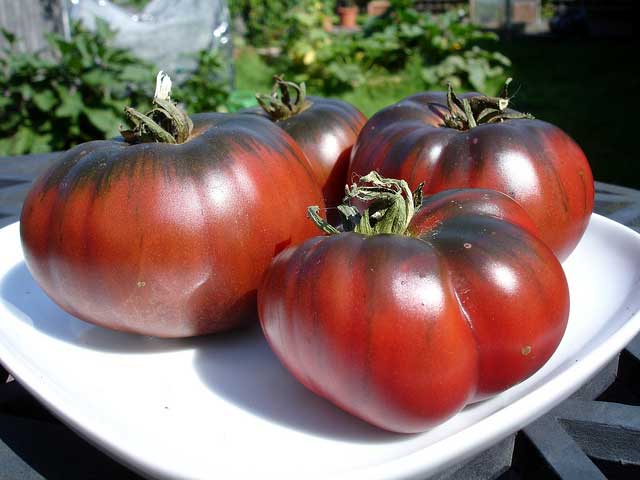 tomate negro en un plato