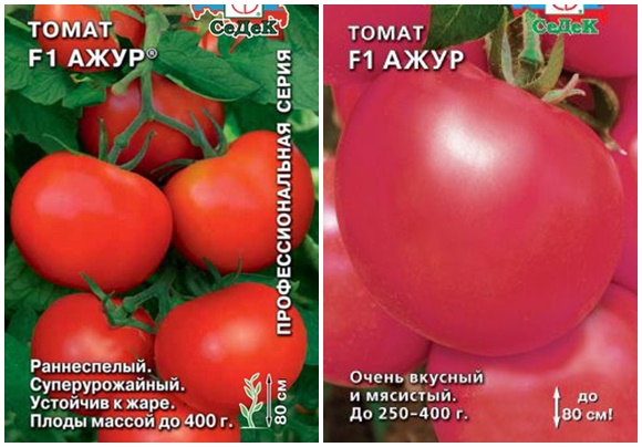 graines de tomates ajourées f1