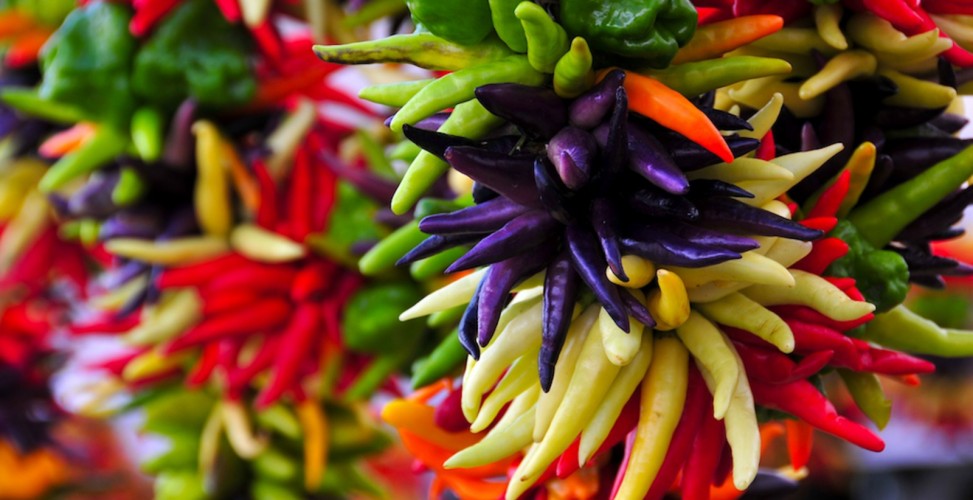 pepper varieties