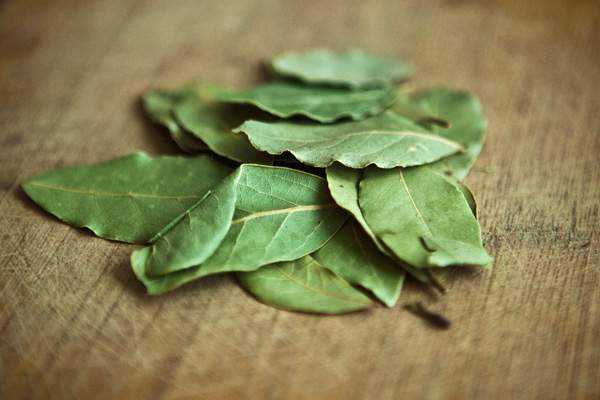 bay leaf for cabbage