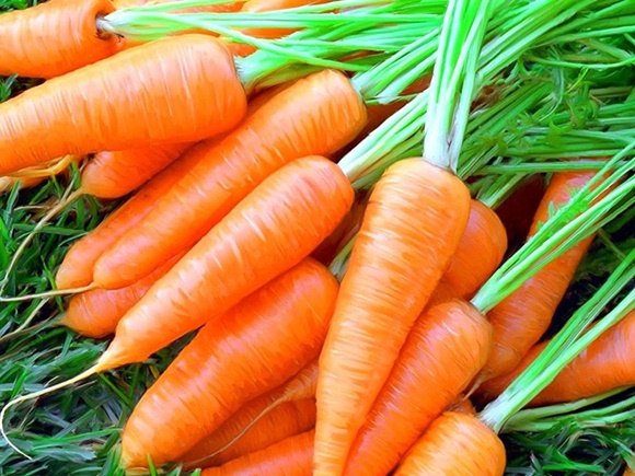 carrots in a heap