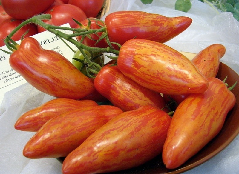 Délicatesse de Moscou aux tomates rouges