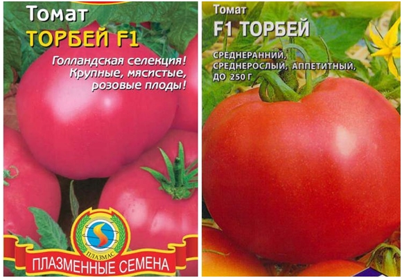 biji tomato torbey f1