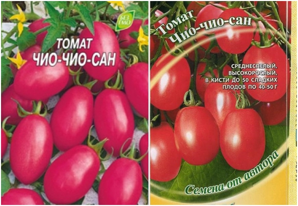 graines de tomates chio chio san