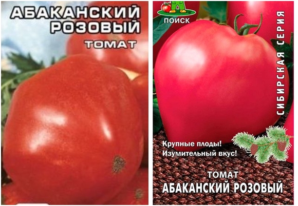 biji tomato abakan