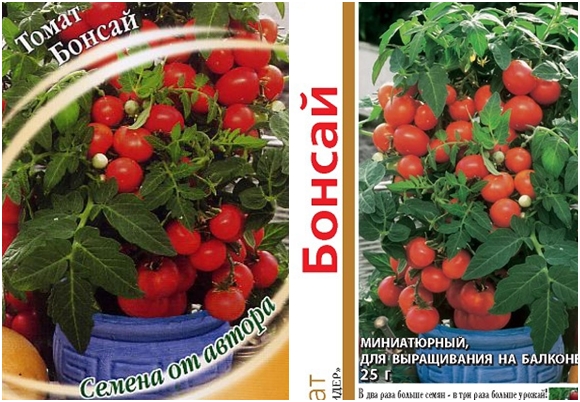 semillas de tomate bonsai