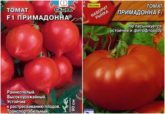 tomato seeds tomato seeds prima donna