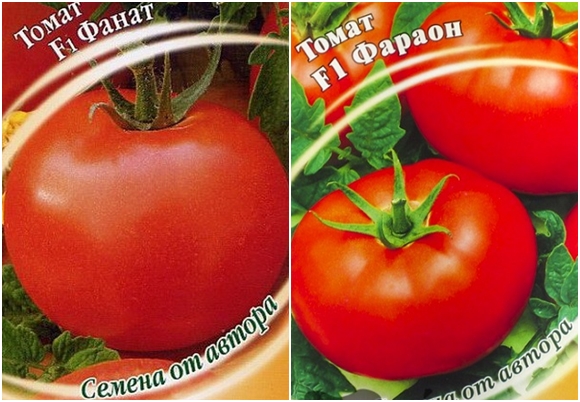 tomato seeds Pharaoh F1