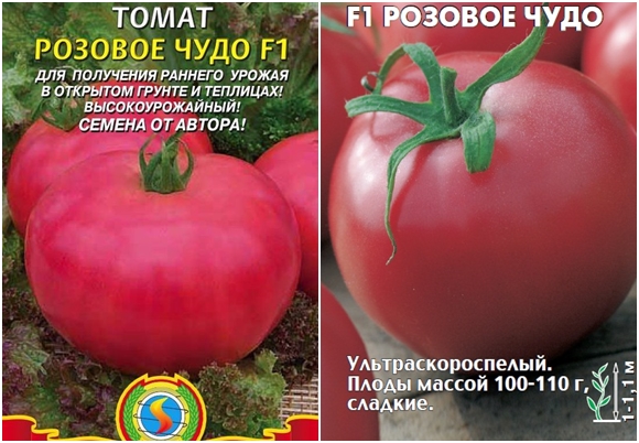 biji tomato Pink Miracle F1