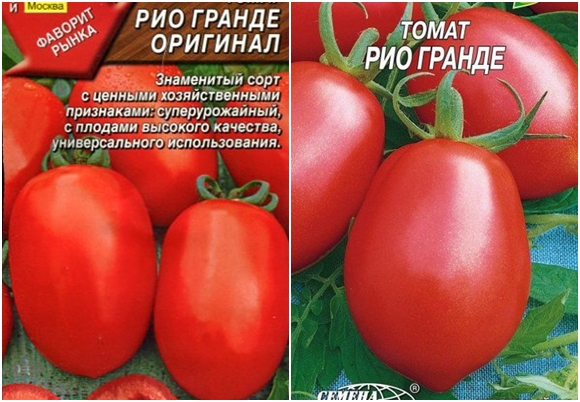 biji tomato Rio Grand