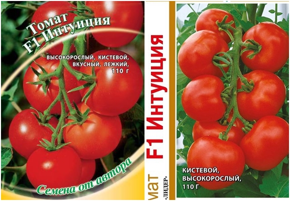 graines de tomates Intuition F1