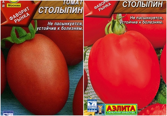 biji tomato stolypin