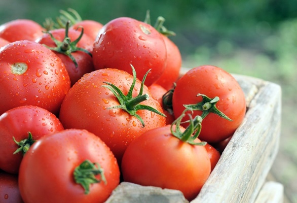 tomate tsunami en una caja