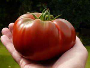 Caractéristiques et description de la variété de tomate Monomakh's Hat, son rendement