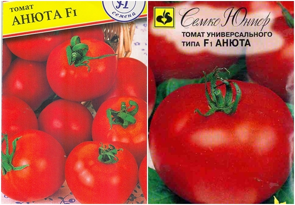 biji tomato anyuta