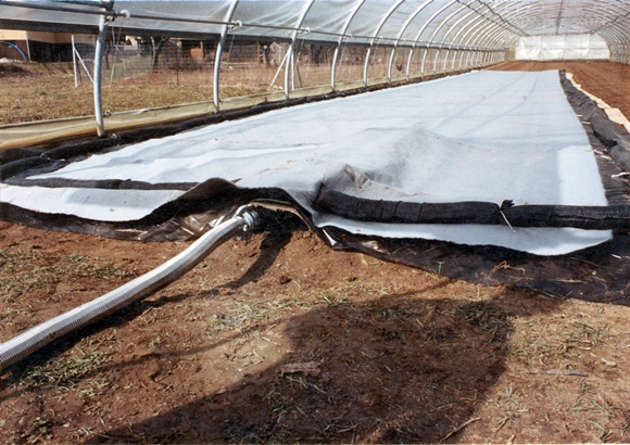 steaming soil in a greenhouse