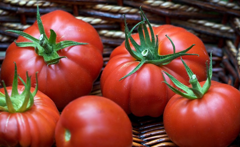 variedad de tomate