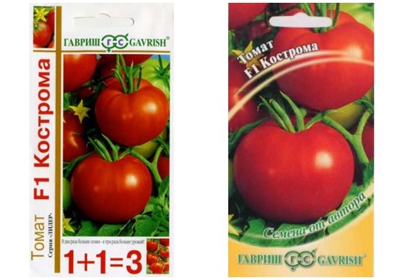 graines de tomates kostroma