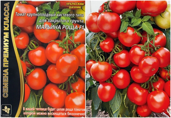 graines de tomates Maryina Roshcha