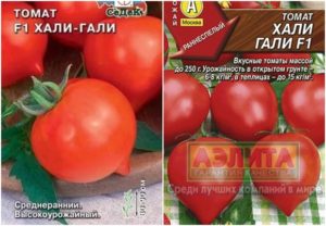 Caractéristiques et description de la variété de tomate Hali Gali, son rendement