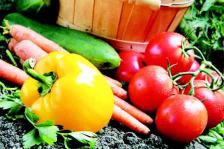 verduras en el suelo