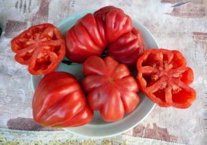 Description et variétés des variétés de tomates Tlacolula de Matamoros, son rendement