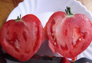 Ciri-ciri dan perihalan varieti tomato Hati pengasih dan jantung minyak Merah, produktiviti mereka