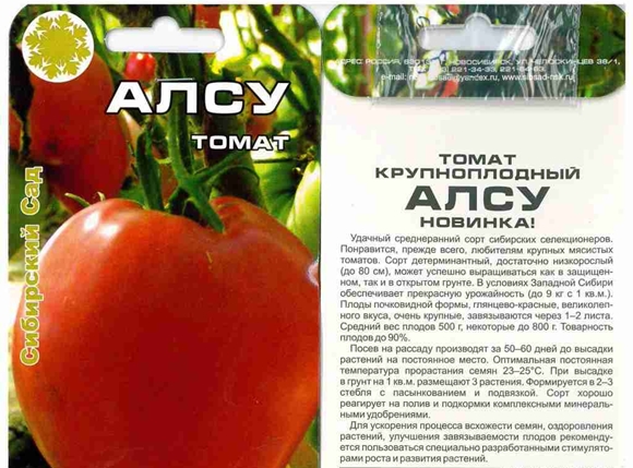 graines de tomates alsou