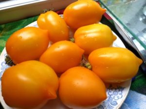 Characteristics and description of the tomato variety Wonder of the World, its yield