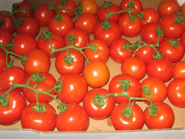 Tomates Sunrise dans une boîte