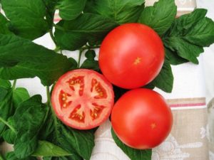 Caractéristiques et description de la variété de tomate Tolstoï, son rendement et sa culture