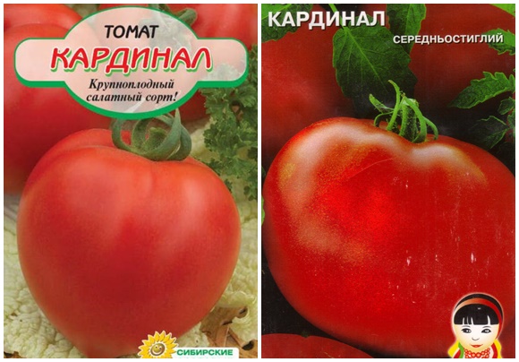 varieti tomato kardinal