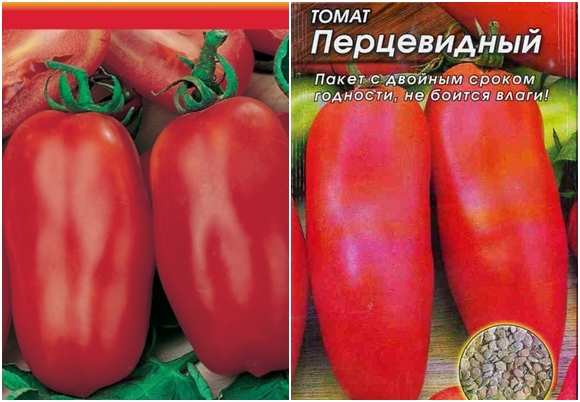 sjeme rajčice paprika