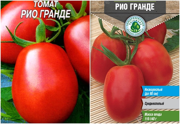 graines de tomate rio grande