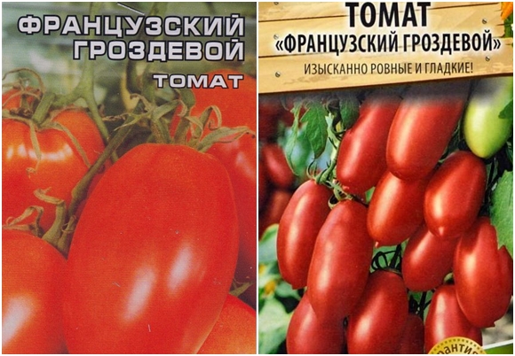 biji tomato tandan perancis