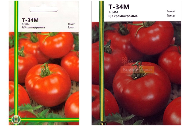 graines de tomates t 34