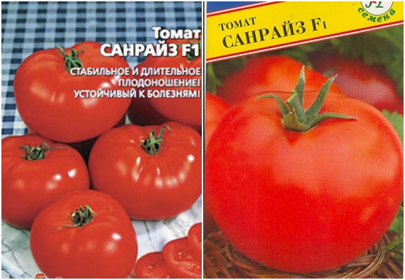 graines de tomates sunrise