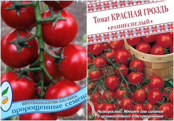 Graines de tomates bouquet rouge