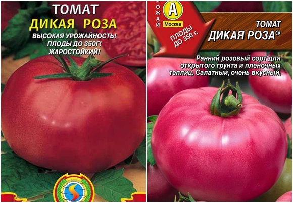 semillas de tomate rosa salvaje