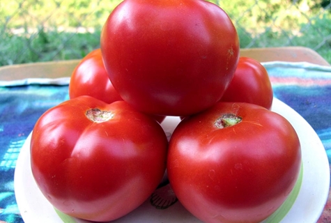 appearance of tomato red guard