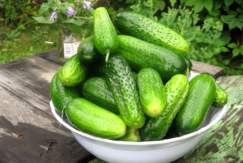 cucumbers in a bowl