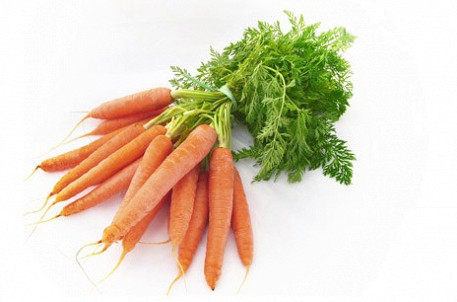 carrot cultivation