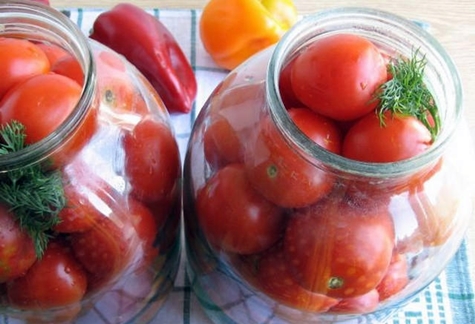 Tomates bulgares dans un pot