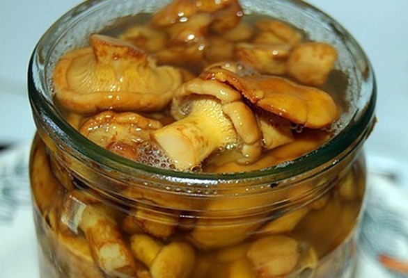 salted chanterelles in a jar