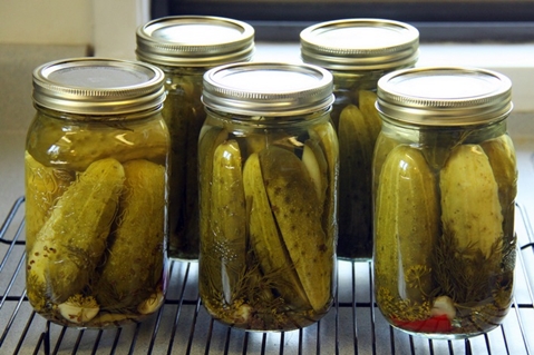 cucumbers with vodka in cans